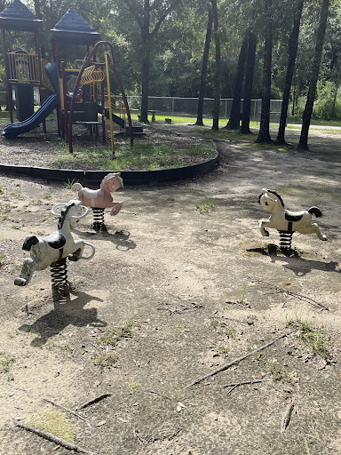 Dixon Park Playground 20250726 185642 009