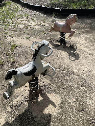 Dixon Park Playground 20250726 185643 010