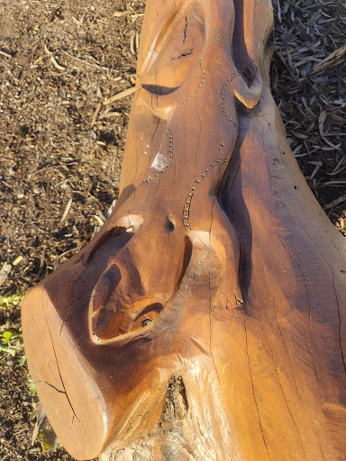 Dover Street Reserve 20250824 014343 010