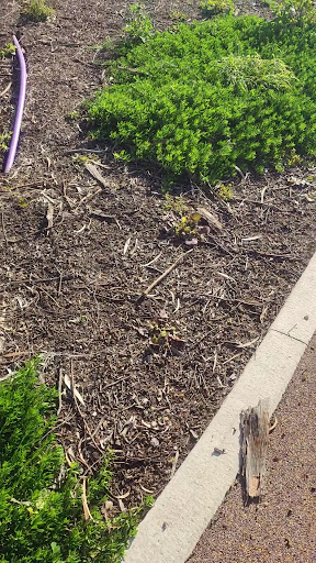 Dover Street Reserve 20250824 014349 017