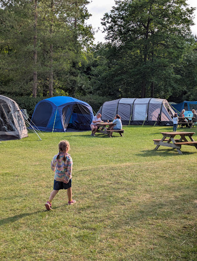 Doward Park Campsite 20250808 183546 002