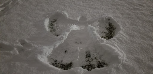 Duffy Field Playground 20250727 131813 007