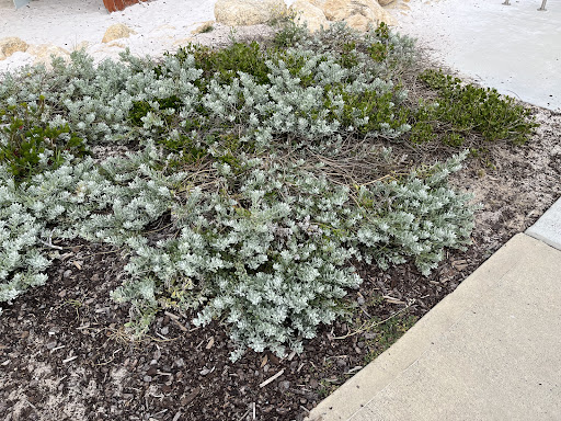 Dutch Inn Playground 20250824 021919 007