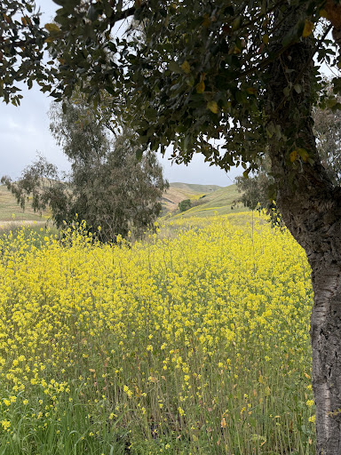 Ed R Levin County Park 20250726 234822 004