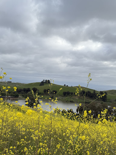 Ed R Levin County Park 20250726 234824 006