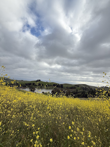 Ed R Levin County Park 20250726 234825 007