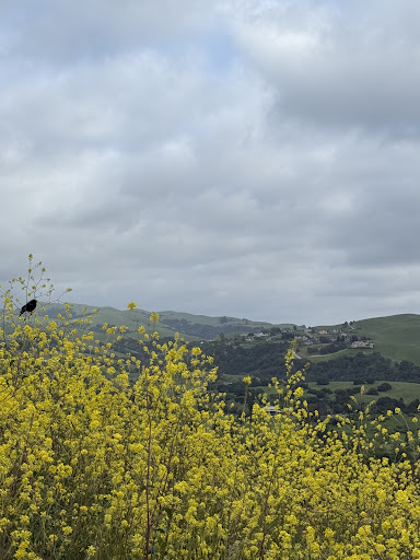 Ed R Levin County Park 20250726 234826 009