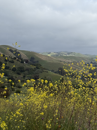 Ed R Levin County Park 20250726 234827 010