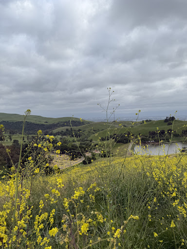 Ed R Levin County Park 20250726 234828 011