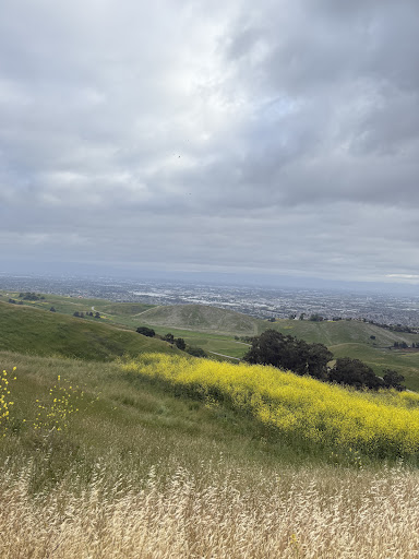 Ed R Levin County Park 20250726 234829 012