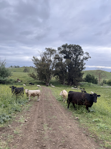 Ed R Levin County Park 20250726 234830 013