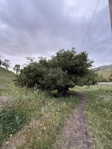 Ed R Levin County Park 20250726 234830 014