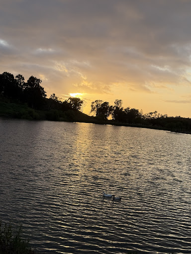 Ed R Levin County Park 20250726 234831 015