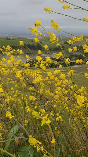 Ed R Levin County Park 20250726 234833 018