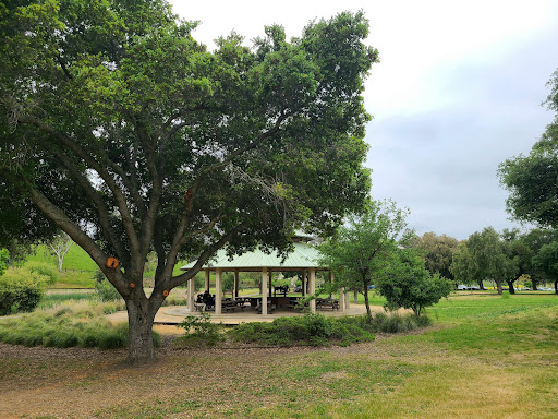 Ed R Levin County Park 20250726 234835 020