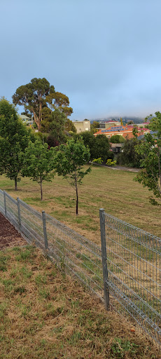 Edge Avenue Playground 20250824 000244 003