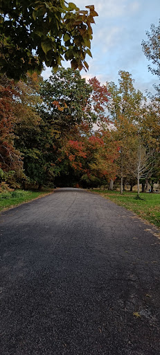 Edgewood Park Playground 20250727 043703 001