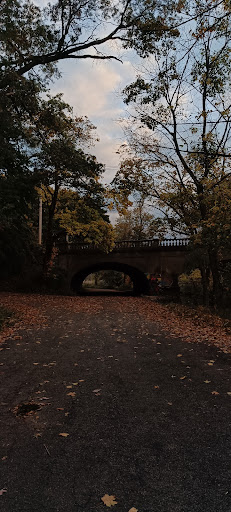 Edgewood Park Playground 20250727 043707 006