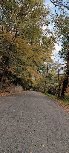 Edgewood Park Playground 20250727 043708 008