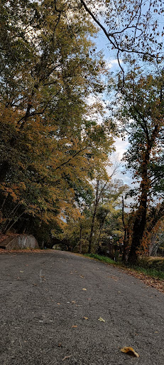 Edgewood Park Playground 20250727 043709 009