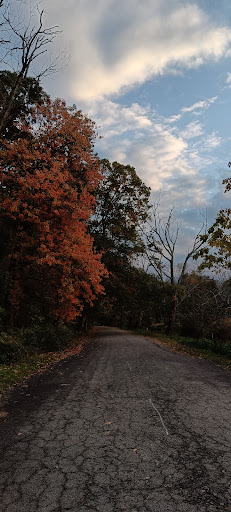 Edgewood Park Playground 20250727 043710 010
