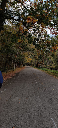 Edgewood Park Playground 20250727 043711 011