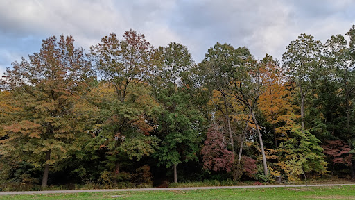 Edgewood Park Playground 20250727 043716 018