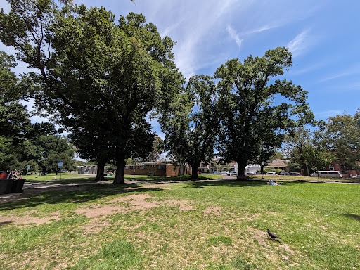 Edinburgh Gardens North Playground 20250824 034158 010