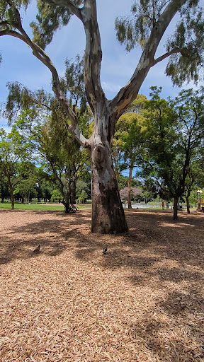 Edinburgh Gardens North Playground 20250824 034200 012