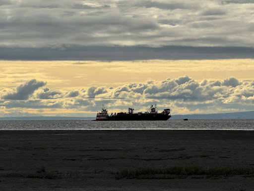 Elderberry Park 20250727 094807 004