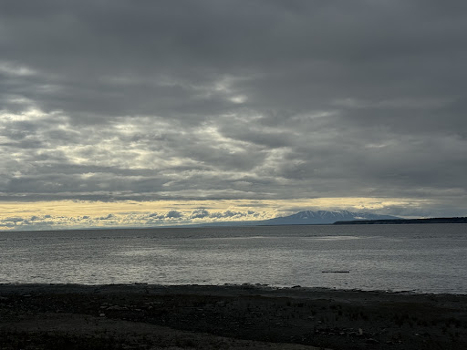 Elderberry Park 20250727 094808 005