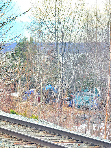 Elderberry Park 20250727 094809 007