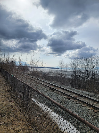 Elderberry Park 20250727 094810 008