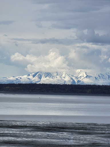 Elderberry Park 20250727 094815 013