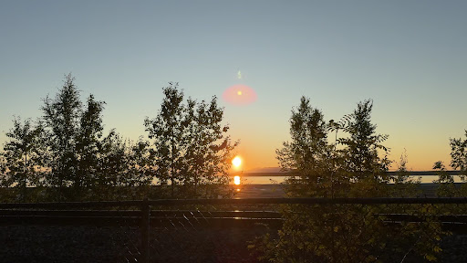 Elderberry Park 20250727 094817 015