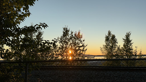 Elderberry Park 20250727 094818 016