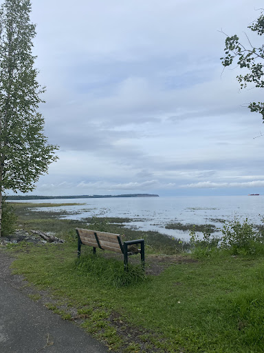 Elderberry Park 20250727 094820 019