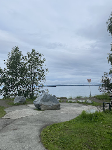 Elderberry Park 20250727 094821 020