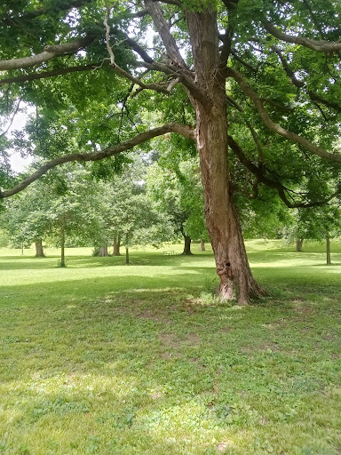 Ellenberger Park West Playground 20250727 022454 003