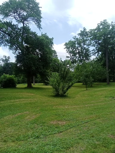 Ellenberger Park West Playground 20250727 022455 005