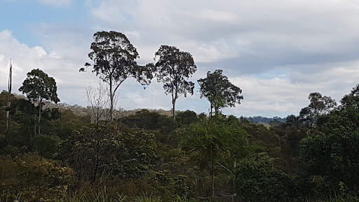 Ellendale Playground 20250824 023546 004