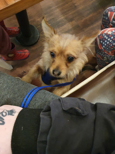 Empire Amusements Cheeky Monkeys cafe lounge 20250808 164716 004