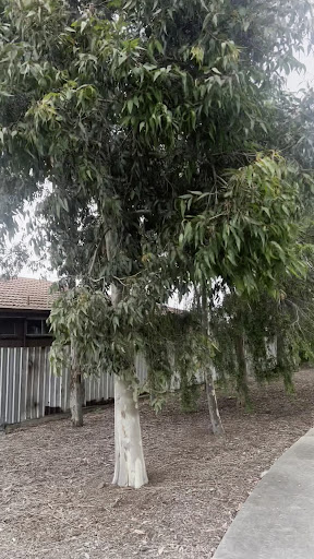 Empress Court Playground 20250824 040208 003