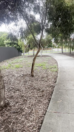 Empress Court Playground 20250824 040210 006