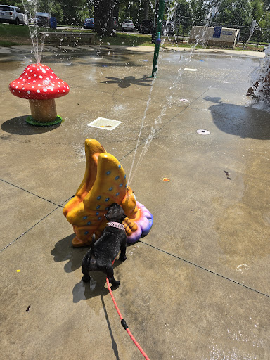 Engleman Park 20250726 222008 011