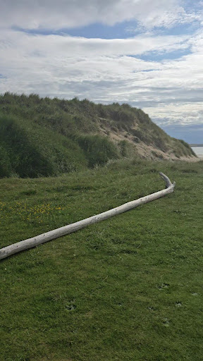 Eoropie Dunes Park 20250808 145005 001