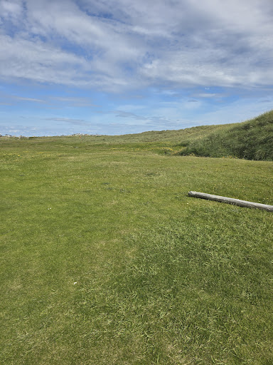 Eoropie Dunes Park 20250808 145006 002