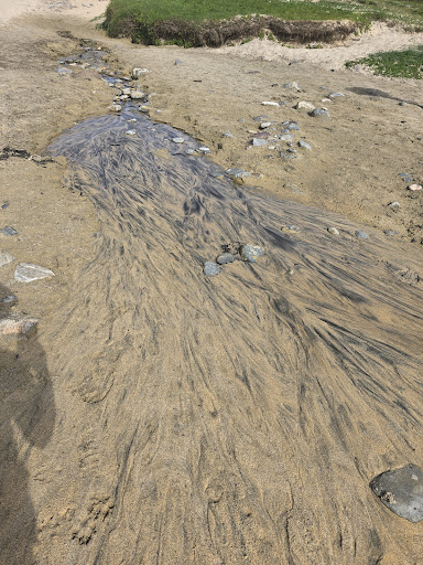 Eoropie Dunes Park 20250808 145008 004