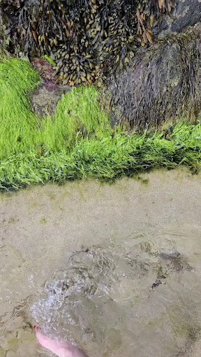 Eoropie Dunes Park 20250808 145010 007