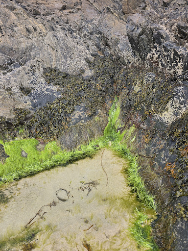 Eoropie Dunes Park 20250808 145011 008